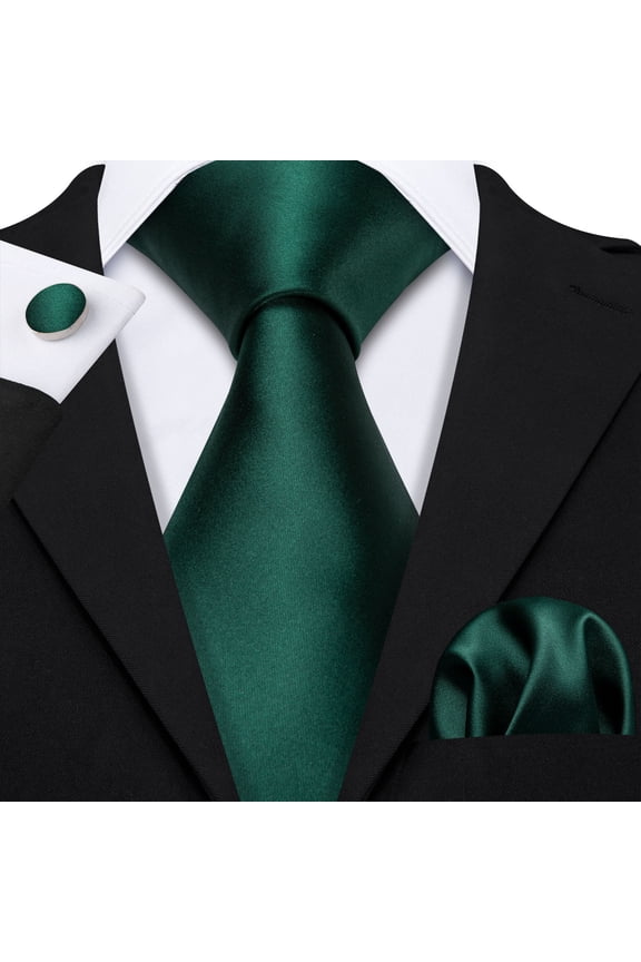 Barry.Wang Classic Ties for Men Formal Business Wedding Solid Paisley Necktie Set