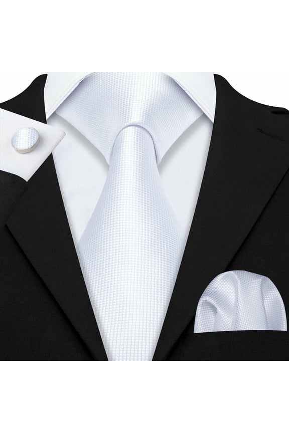 Barry.Wang Classic Ties for Men Formal Business Wedding Solid Paisley Necktie Set