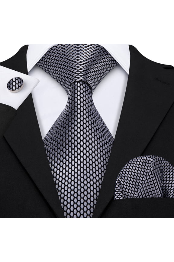 Barry.Wang Classic Ties for Men Formal Business Wedding Solid Paisley Necktie Set