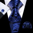 thumbnail image 1 of Barry.Wang Paisley Ties for Men Flower Silk Necktie Set with Handkerchief Cufflinks Wedding Party Business, 1 of 4