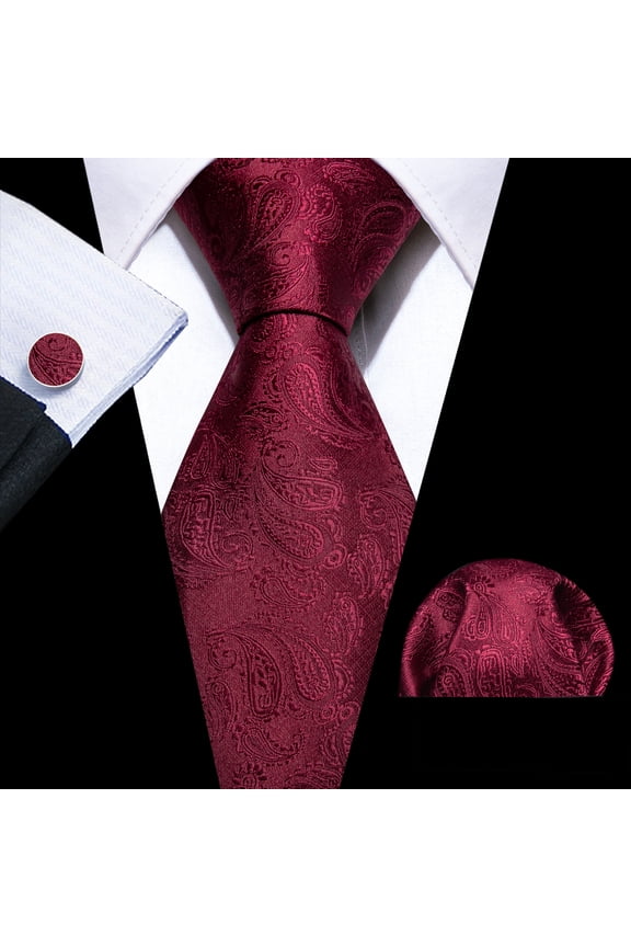 Barry.Wang Paisley Ties for Men Flower Silk Necktie Set with Handkerchief Cufflinks Wedding Party Business