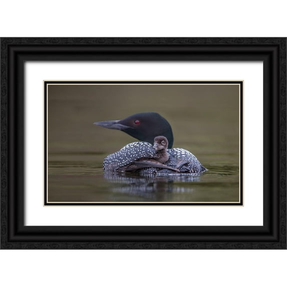 Barsh, Greg 14x10 Black Ornate Wood Framed with Double Matting Museum Art Print Titled - Back Seat