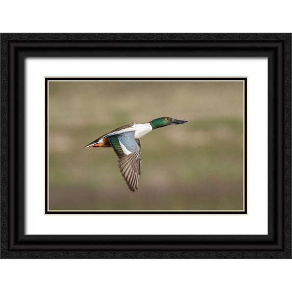 Barsh, Greg 14x11 Black Ornate Wood Framed with Double Matting Museum Art Print Titled - Going Up