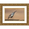 thumbnail image 1 of Barsh, Greg 18x13 Gold Ornate Wood Framed with Double Matting Museum Art Print Titled - Forward-March!, 1 of 4