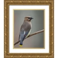 thumbnail image 1 of Barsh, Greg 20x24 Gold Ornate Wood Framed with Double Matting Museum Art Print Titled - Strike A Pose, 1 of 4