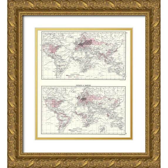 Bartholomew 12x13 Gold Ornate Wood Framed with Double Matting Museum Art Print Titled - Global Potato Manioc - Bartholomew 1907