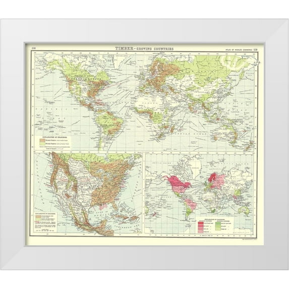 Bartholomew 30x26 White Modern Wood Framed Museum Art Print Titled - Global Timber Growing Countries - Bartholomew 1907