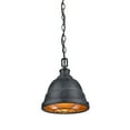 thumbnail image 1 of Golden Lighting Bartlett 1-light Pendant in Black Patina, 1 of 8
