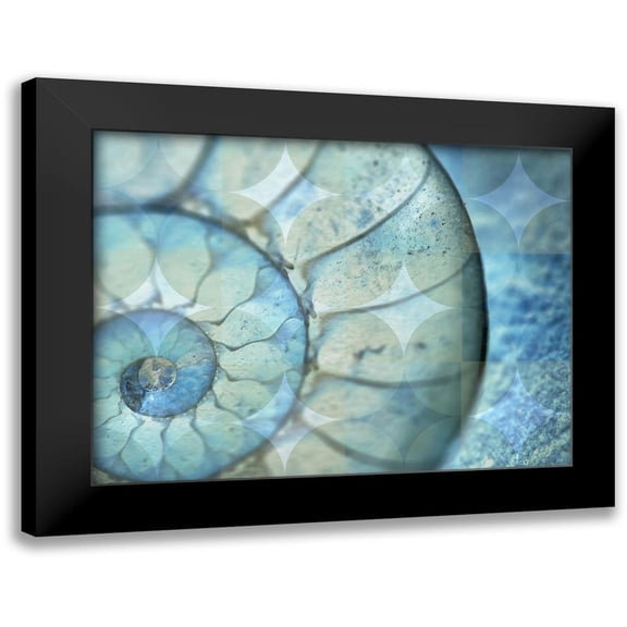 Bartola 14x12 Black Modern Framed Museum Art Print Titled - La Concha Marsala
