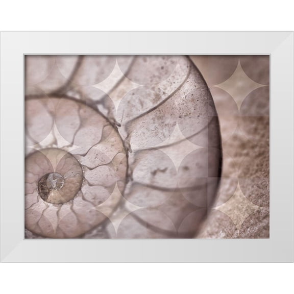 Bartola 14x12 White Modern Wood Framed Museum Art Print Titled - La Concha I