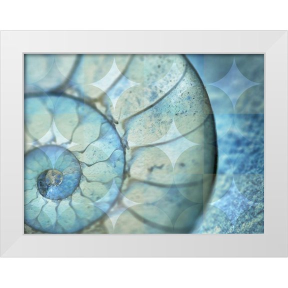 Bartola 14x12 White Modern Wood Framed Museum Art Print Titled - La Concha Marsala