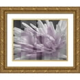thumbnail image 1 of Bartola 32x25 Gold Ornate Wood Framed with Double Matting Museum Art Print Titled - Checkered Dhalia, 1 of 4