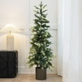 thumbnail image 1 of Barton Alpine Pencil Christmas Tree, Pre-Lit Slim Artificial Holiday Decoration, 4.6' Lighted Skinny With Pot Base, Warm White Lights, 1 of 6
