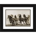 thumbnail image 1 of Bartsch, Heidi 14x11 Black Ornate Wood Framed with Double Matting Museum Art Print Titled - Horse, 1 of 4