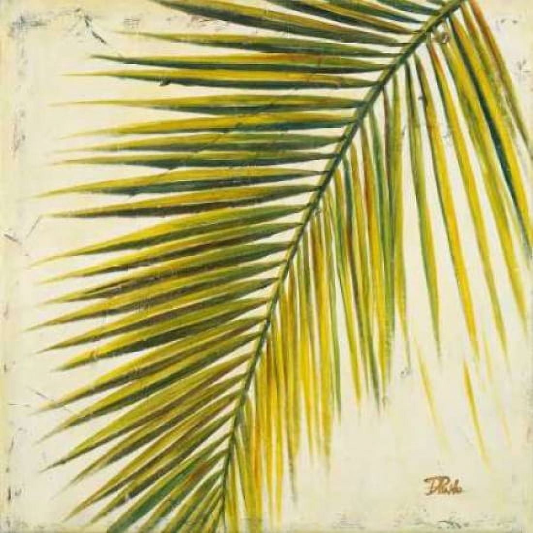 Baru Palm I Canvas Art - Patricia Pinto (24 x 24)