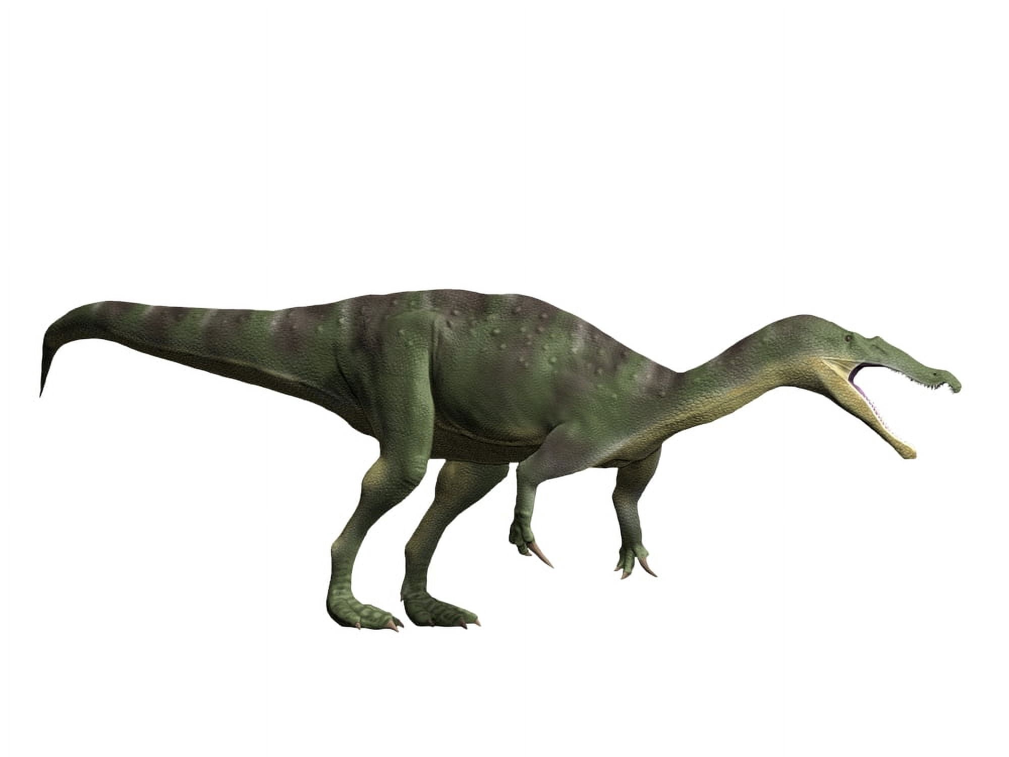 Baryonyx walkeri Early Cretaceous of England Canvas Art - Nobumichi TamuraStocktrek Images (17 x 13)