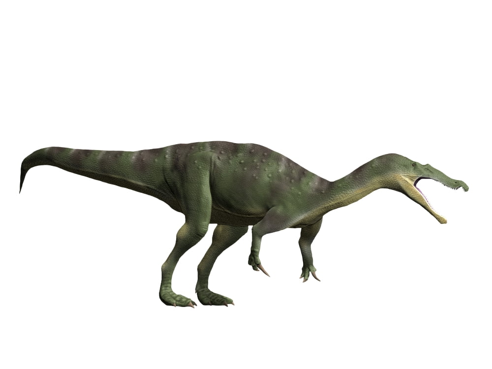 Baryonyx walkeri Early Cretaceous of England Canvas Art - Nobumichi TamuraStocktrek Images (33 x 25)