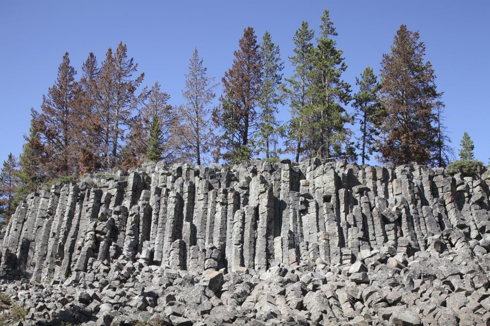 Basalt Columns formed by cooling lava Yellowstone National Park Wyoming Canvas Art - Richard RoscoeStocktrek Images (18 x 12)