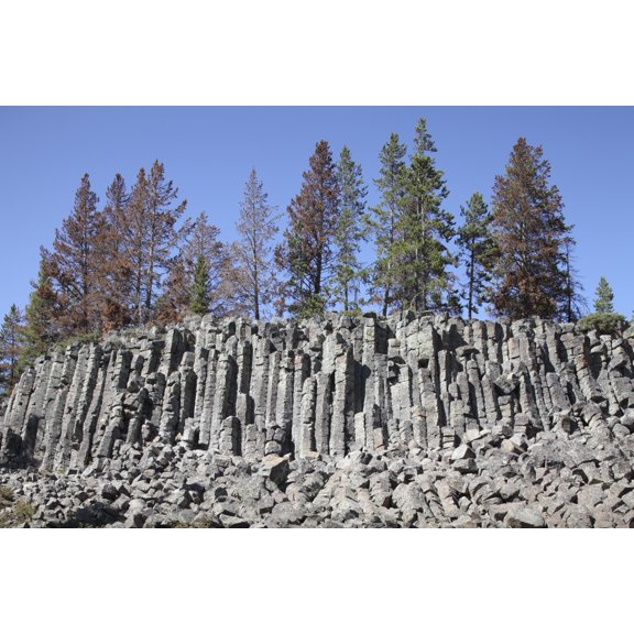 Basalt Columns formed by cooling lava Yellowstone National Park Wyoming Canvas Art - Richard RoscoeStocktrek Images (18 x 12)