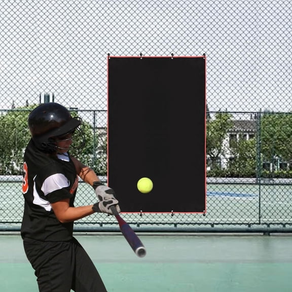 Baseball Batting Cage Backstop 4 x 6 ft with Strike Zone Target, Heavy Duty PVC Backstop for Baseball & Softball Pitching Practice, Net Protector for Backyard Batting Cages