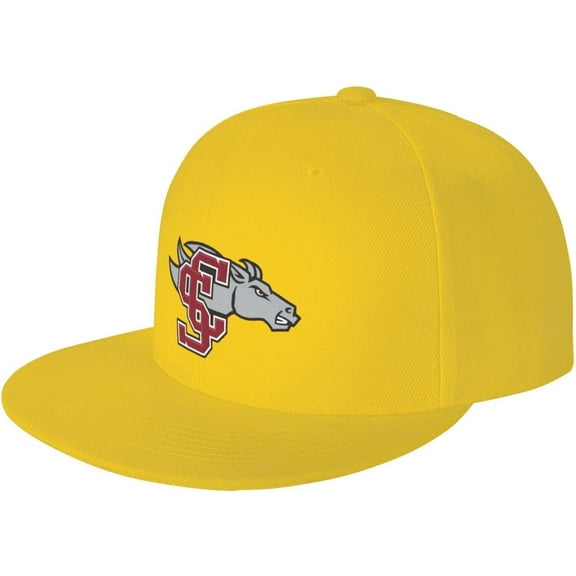 Baseball Cap Adjustable Classic Vintage Low Profile Washed Polyester Dad Hat for Men