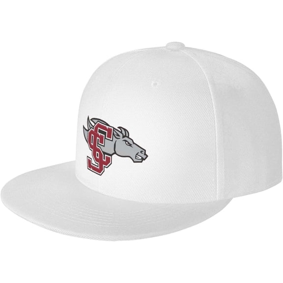 Baseball Cap Adjustable Classic Vintage Low Profile Washed Polyester Dad Hat for Men