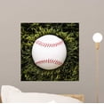 thumbnail image 1 of Baseball Resting Grass Wall Mural Decal Sticker, Wallmonkeys Peel & Stick Vinyl Graphic (12 in H x 12 in W, 1 of 4