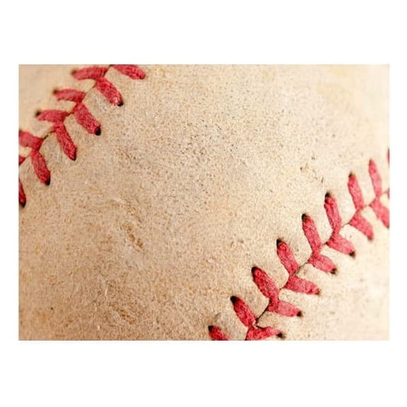 Baseball & Softball Birthday Party Edible Image Cake Topper For Quarter Sheet Cake By TNCT