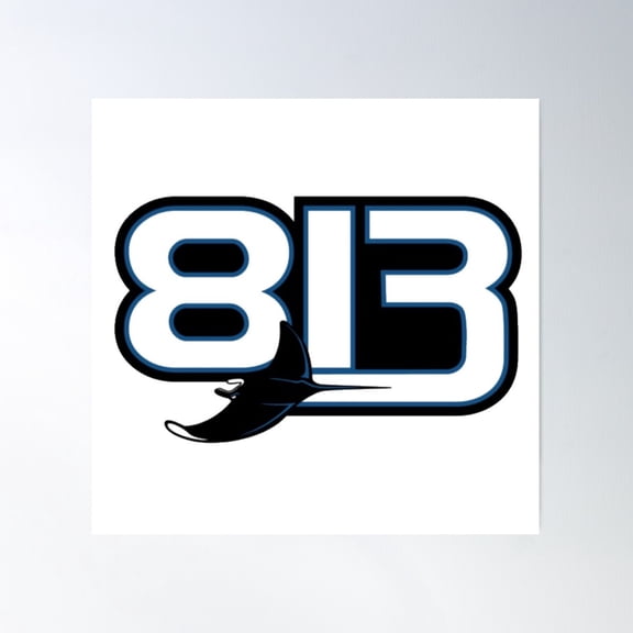 Baseball - Tampa Bay - 813 Area Code Poster Wall Art, Modern Wall Decor For Living Room Bedroom, 16x24 UNFRAMED
