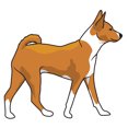 thumbnail image 1 of Basenji Decal | Indoor/Outdoor | Dog Lover Super Cute Sticker for SUV Windows, Dorm Rooms, Bedroom, Offices | SignMission personalized gift | 36", 1 of 2