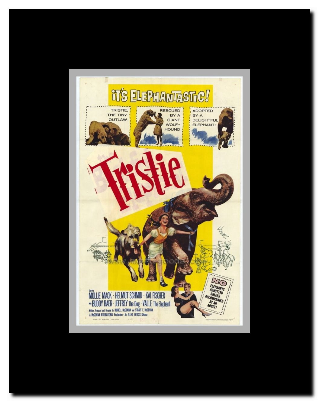 Bashful Elephant Framed Movie Poster