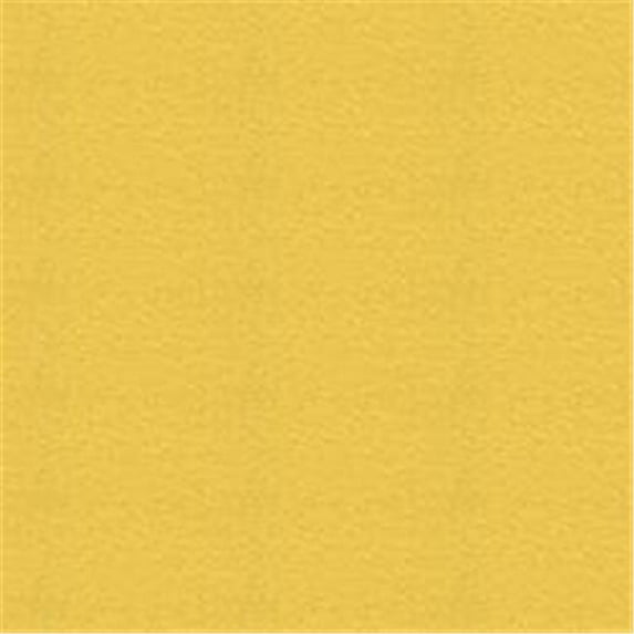 Basic Anti-Pill Fleece 5yd Pre-Cut Fabric Solid