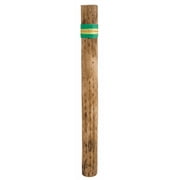 Basic Beat BBRS20 20 Standard Cactus Rainstick