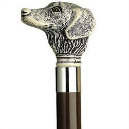 Basic View Master Classic Viewer with Reels Discovery: Endangered Species