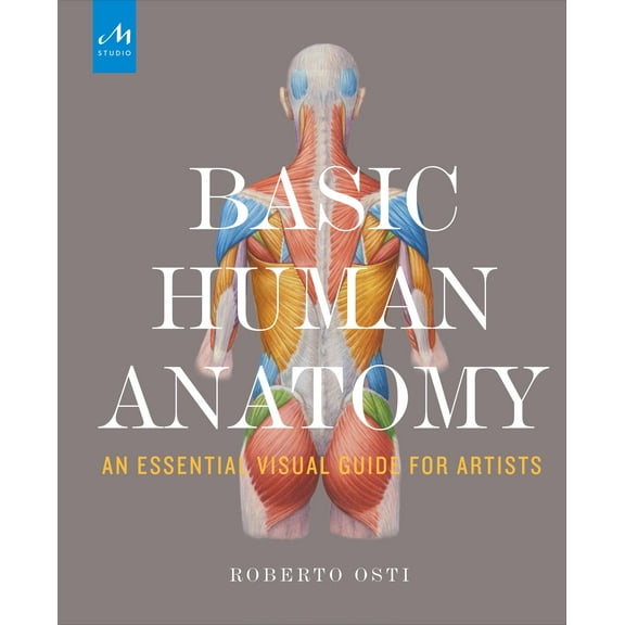 Basic Human Anatomy: An Essential Visual Guide for Artists (Hardcover)