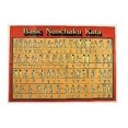 thumbnail image 1 of Basic Nunchaku Kata Poster, 1 of 1