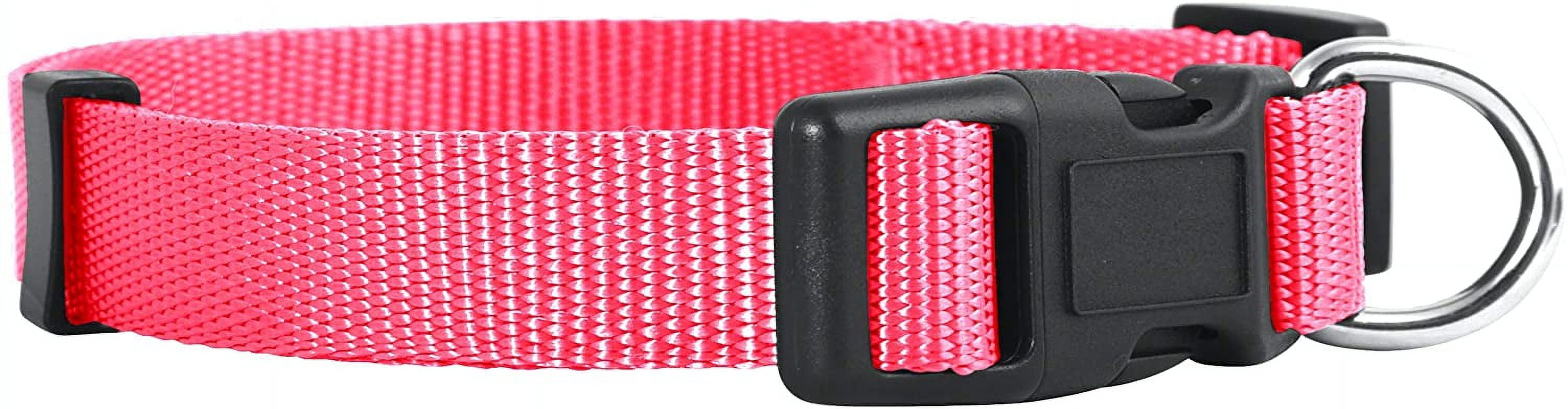 10 Nylon Dog Collars – Adjustable Puppy Collars In Red & Blue For Small To Medium Dogs | Wholesale Lot