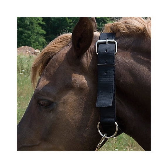 Aime Imports Basic Picket Line Neck Collar