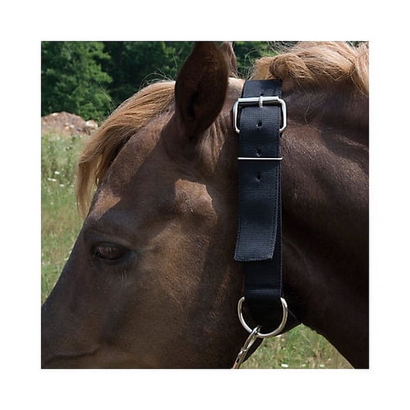 Aime Imports Basic Picket Line Neck Collar