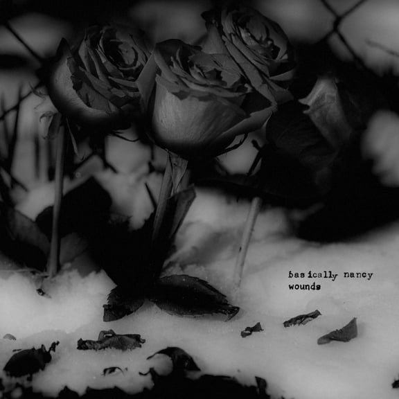 Basically Nancy - Wounds - Music & Performance - Vinyl