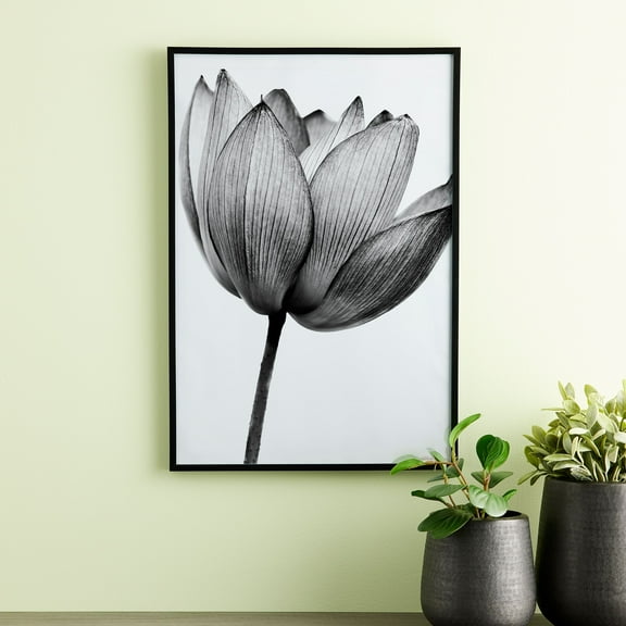 Basics Black Multipurpose Frame by Studio Decor