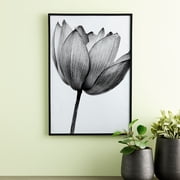 Studio Decor Basics Black Multipurpose Frame