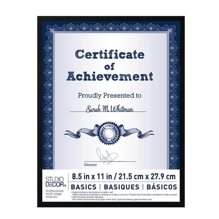 Studio Decor Basics Black Multipurpose Frame
