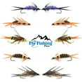 thumbnail image 1 of Basics Collection - Double Bead Head Nymph Assortment - 10 Wet Flies - 5 Patterns - Hook Size 10, 1 of 4