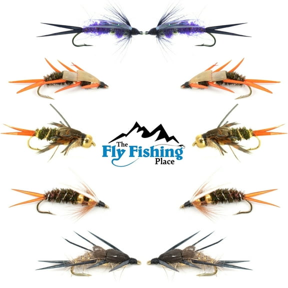 Basics Collection - Double Bead Head Nymph Assortment - 10 Wet Flies - 5 Patterns - Hook Size 10
