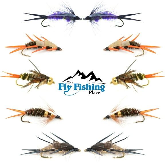 Basics Collection - Double Bead Head Nymph Assortment - 10 Wet Flies - 5 Patterns - Hook Size 8