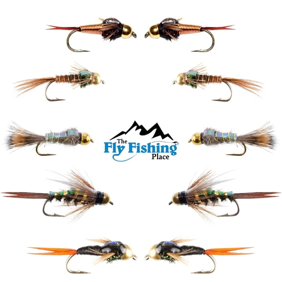 Basics Collection - Flash Back Tungsten Bead Head Nymph Assortment - 10 Wet Flies - 5 Patterns - Hook Sizes 10, 12, 14, 16