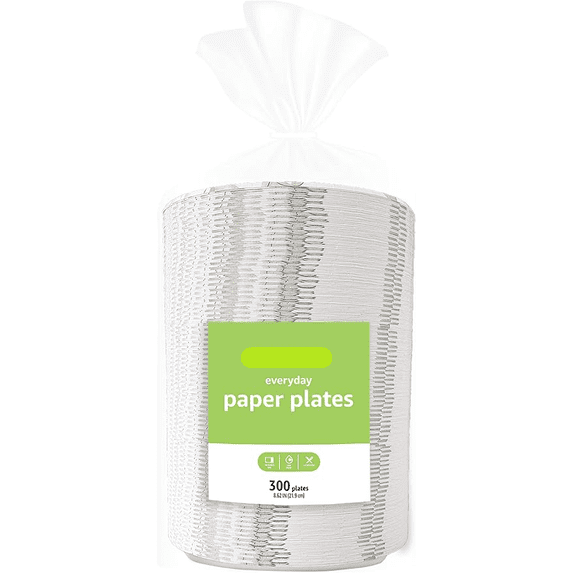 Basics Everyday Paper Plates, 8.62 Inch, Disposable, 300 Count ...