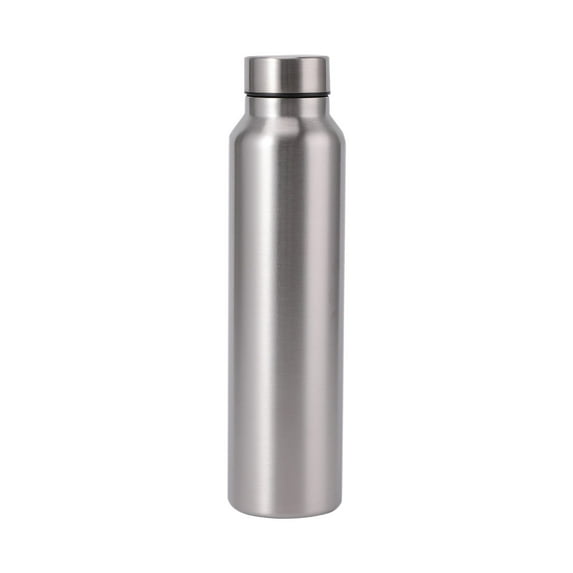 Basics Large Stainless Steel Water Bottle Insulated Water Bottle, Sports Water Jug, BPA-Free Sports Water Bottle, Great for Travel, Sports Water Kettle, Gray