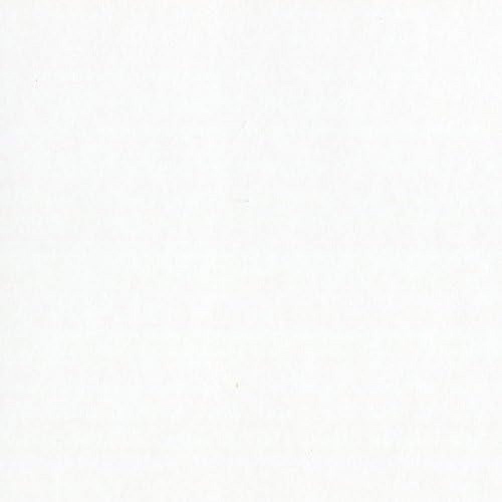 Basics Paper T101083 Card Shoppe Heavy Weight Cardstock, 25 Sheets, 12